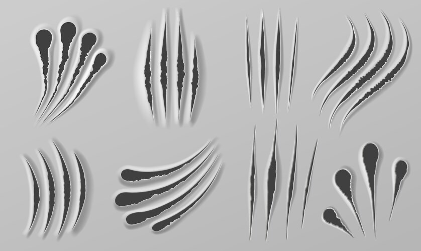 Claw Rip Vector Images (over 1,000)