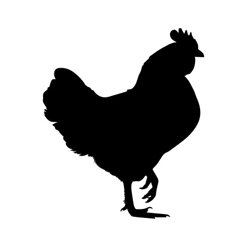 Hen silhouette isolated on white background Vector Image