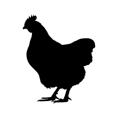 Hen Silhouette Isolated Vector Image