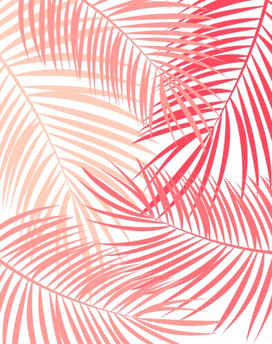 Tropical Palm Leaf Background Vector Image