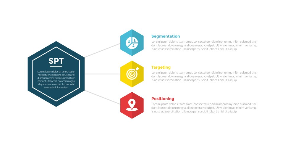 Stp marketing analysis infographics template Vector Image