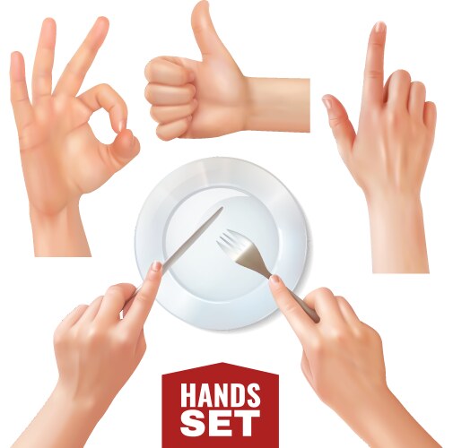 Realistic holding hands isolated Royalty Free Vector Image