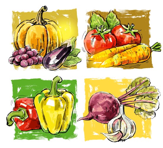 Fresh farm vegetable sketches veggie food Vector Image