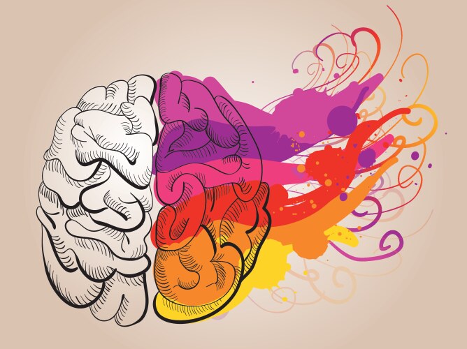 Brain Vector Images (over 260,000)