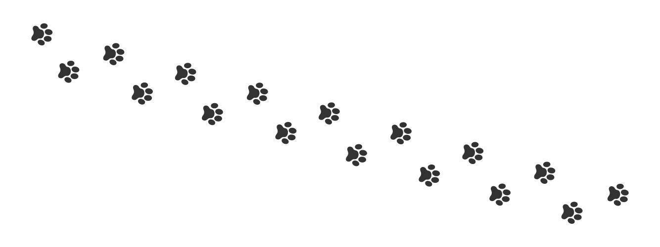Muddy Paw Prints - Animals Vector Image