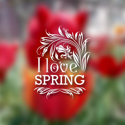 Typographic design with text Vector Image