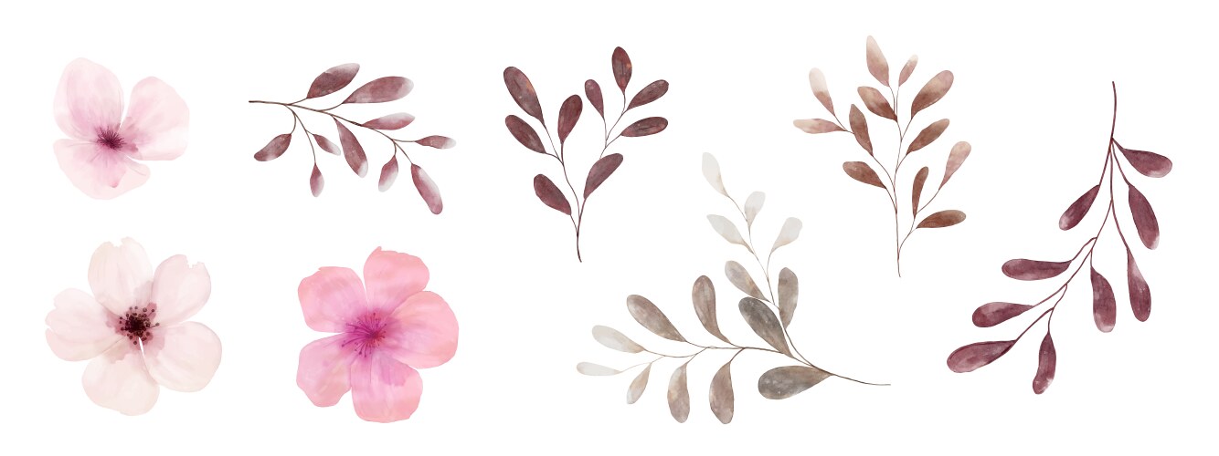 Watercolor Floral Elements Vector Image