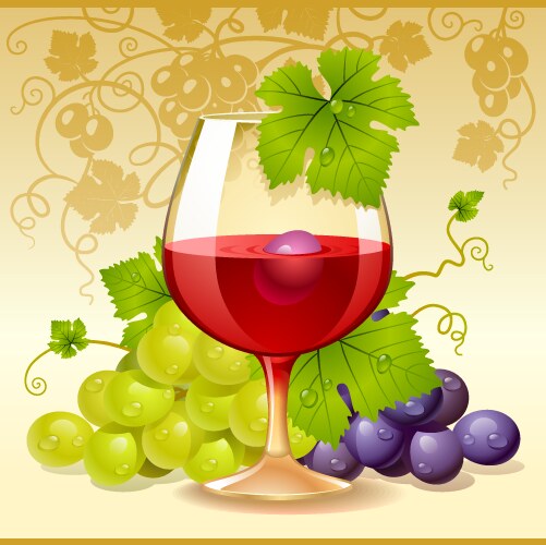 wine glass and grape vector