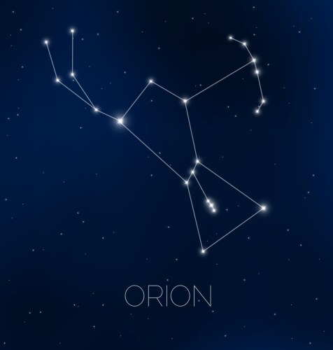 orion constellation in night sky vector