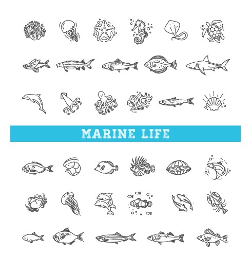 marine life icon set outline icons vector image vector image