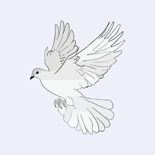 Dove of peace Vector Image