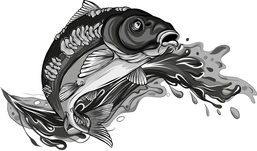 Carp Vector Images & Graphics for Commercial Use | VectorStock