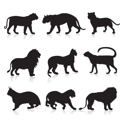 Nine Wildcat Silhouettes Vector Image