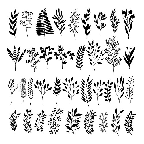 Plants doodle Royalty Free Vector Image - VectorStock