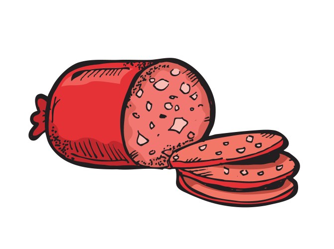 Salami vector image