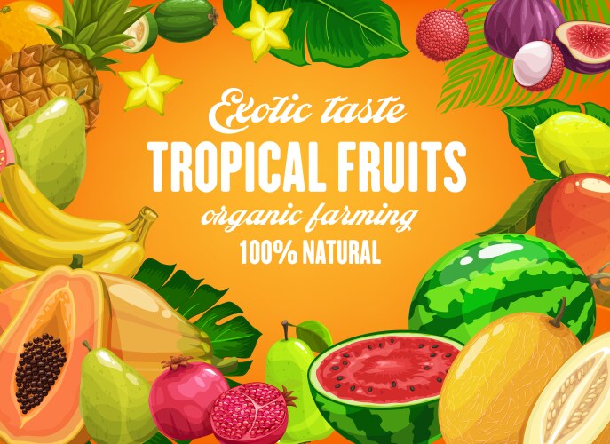 tropical fruits farming cartoon poster vector image