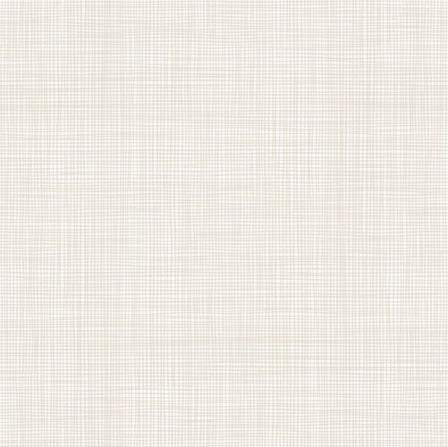 Fabric texture background Royalty Free Vector Image