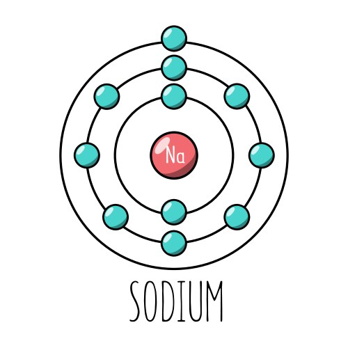 Oxygen atom bohr model Royalty Free Vector Image