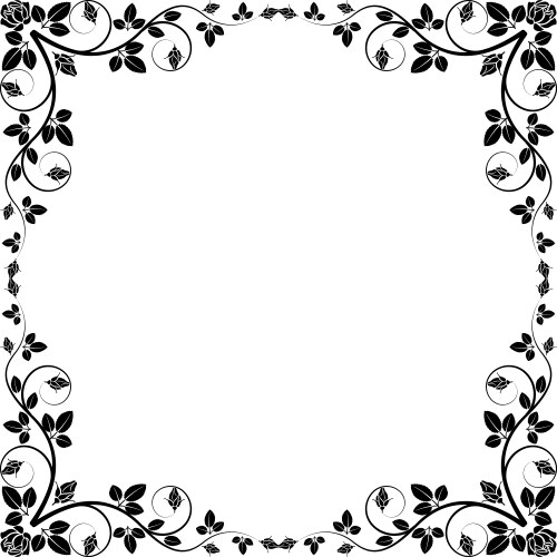 rose frame vector image vector image