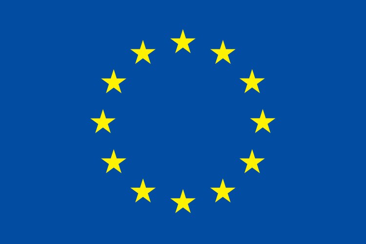 European Union Flag Vector Image