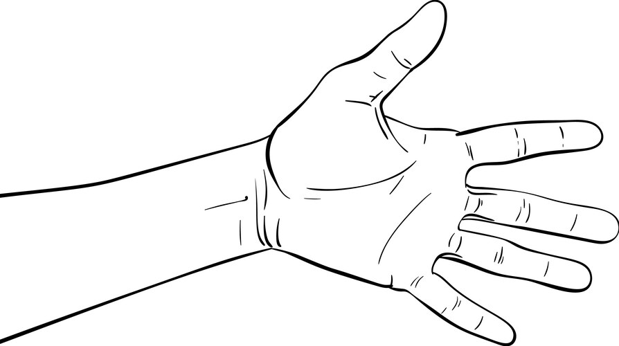 Hand Vector Image