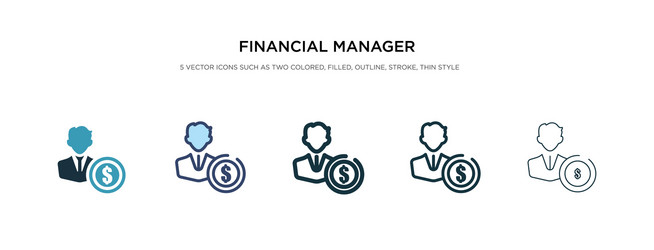 financial manager icon in different style two vector image