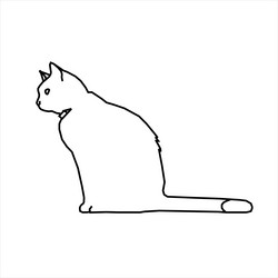 design sketch of a cat sitting looking up vector image
