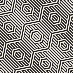 Geometric Lattice Pattern vector image