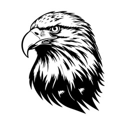 black and white eagle head portrait Vector Image