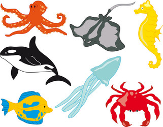 Green sea turtle life cycle Royalty Free Vector Image
