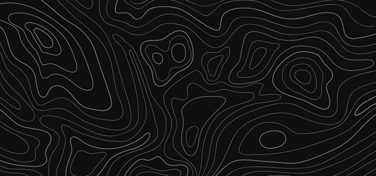 abstract pattern with swirls panorama view vector image