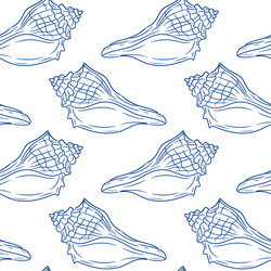 decorative shell pattern design for nautical vector image