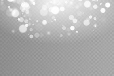 dust light bokeh effect vector image