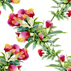 seamless pattern with beautiful flowers Vector Image