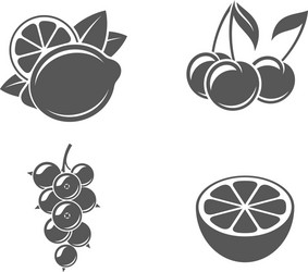 fruit set vector image