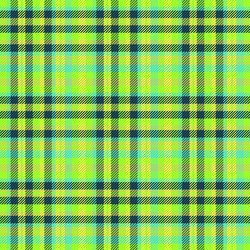tartan plaid pattern with texture and summer color vector image