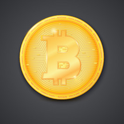 coin of virtual currency bitcoin with shadow icon vector image