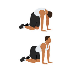 man doing cat backbackward camel stretch exercise vector image