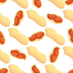 on theme big pattern identical types peanut vector image