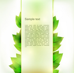 Eco green leaves abstract ecology Royalty Free Vector Image