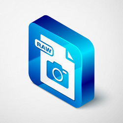 isometric raw file document download button vector image
