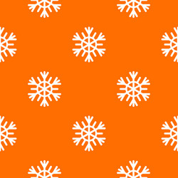 Snowflake Pattern vector image