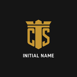 cs initial logo with shield and crown style vector image
