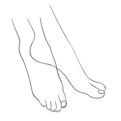 Beautiful female feet hand drawn of realistic Vector Image