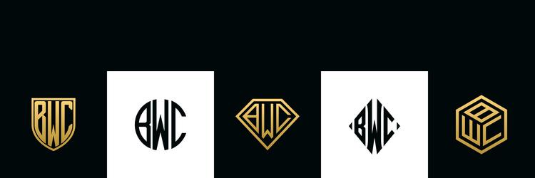 BWC Initial Logo Concepts - Shield & Diamond vector image