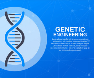 genetic engineering concept can use for web vector image