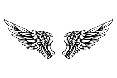 Eagle Wing Tattoo Art Vector Image