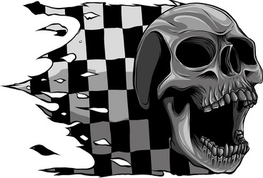 Monochromatic Skull with Race Flag Vector Image