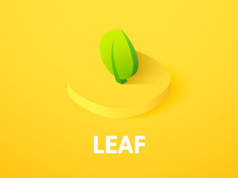 leaf isometric icon isolated on color background vector image