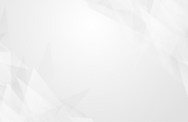 abstract texture geometric white and gray color vector image
